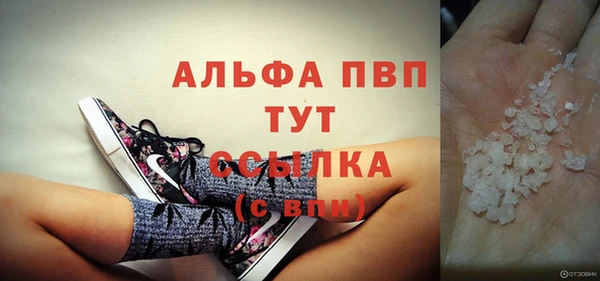 гидра Михайловск
