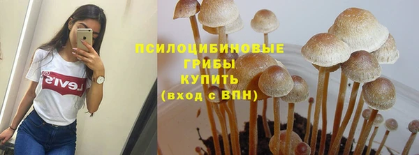 гидра Михайловск