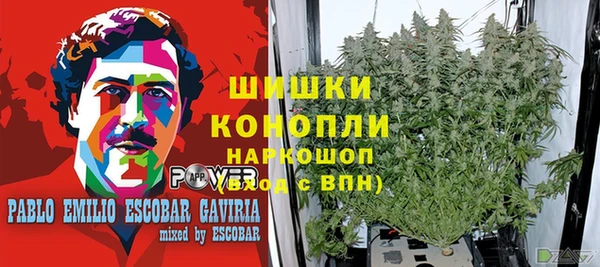 гидра Михайловск