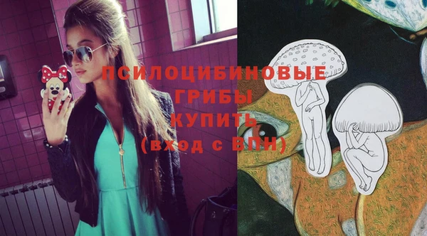 гидра Михайловск