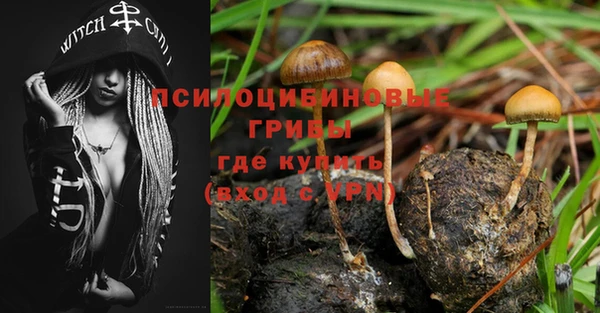 гидра Михайловск