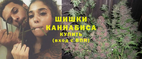 гидра Михайловск