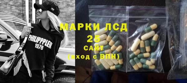 гидра Михайловск