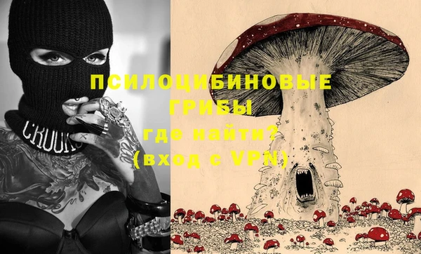 гидра Михайловск