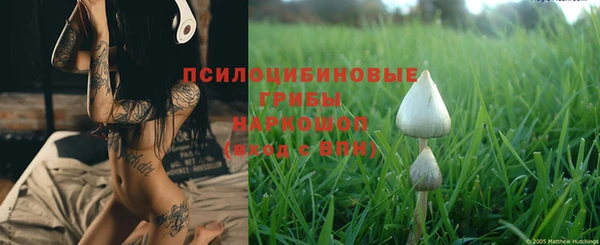 ешки Михайловка
