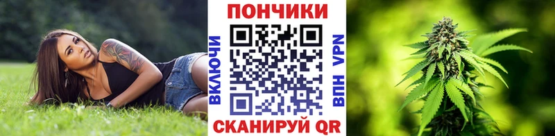 Купить  Шумерля  Конопля гибрид 